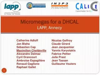 Micromegas for a DHCAL LAPP , Annecy
