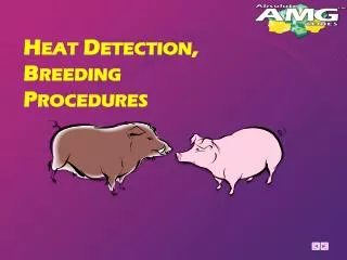 Heat Detection, Breeding Procedures