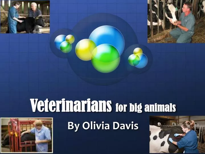 veterinarians for big animals