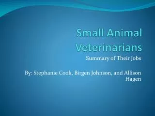 Small Animal Veterinarians