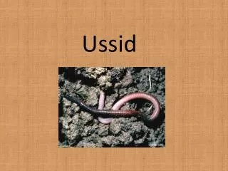 ussid