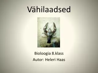 v hilaadsed