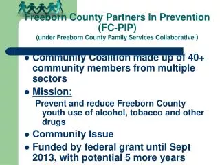 Community Coalition made up of 40+ community members from multiple sectors Mission: