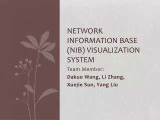 Network Information Base (NIB) visualization system