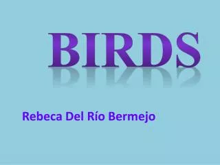 BIRDS