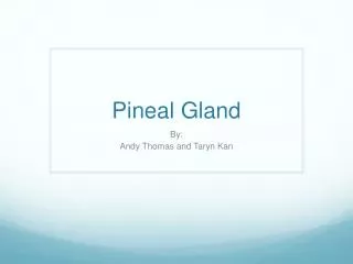 Pineal Gland