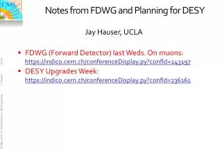 Notes from FDWG and Planning for DESY