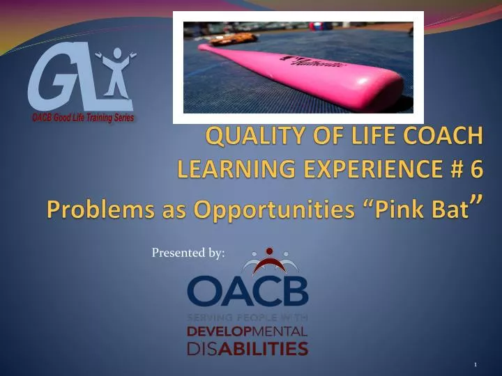 quality of life coach learning experience 6 problems as opportunities pink bat
