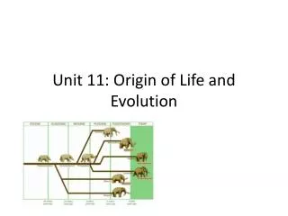 Unit 11: Origin of Life and Evolution