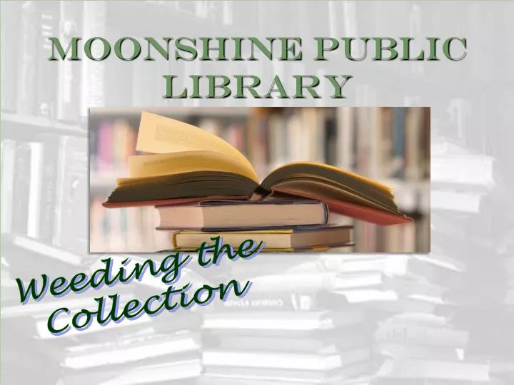 moonshine public library