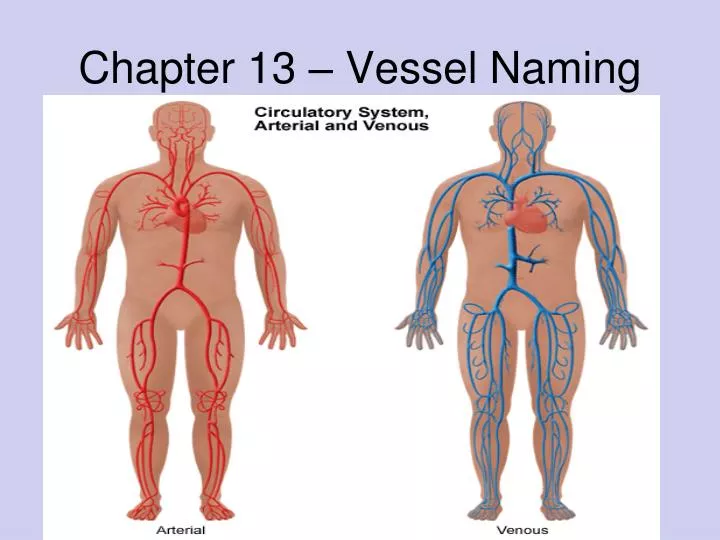 chapter 13 vessel naming