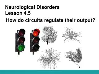 Neurological Disorders Lesson 4.5