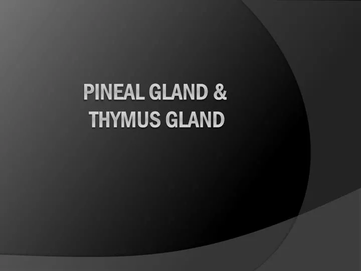 pineal gland thymus gland