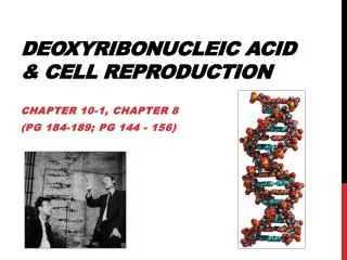 Deoxyribonucleic Acid &amp; Cell Reproduction