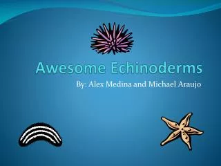 Awesome Echinoderms