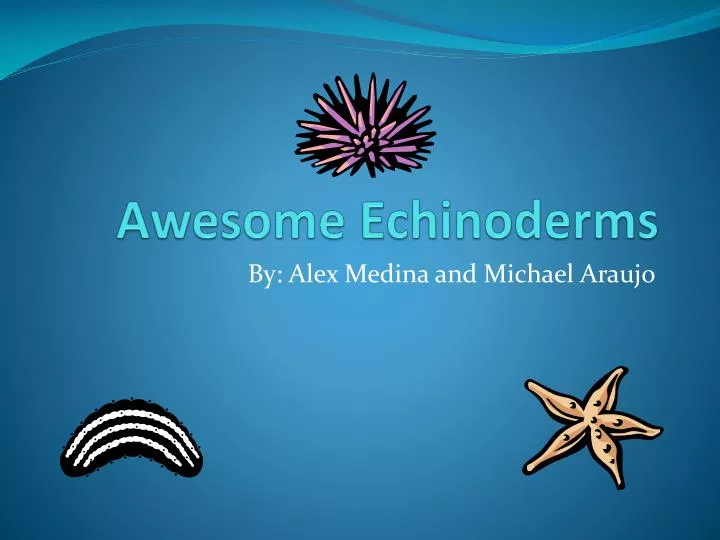 awesome echinoderms