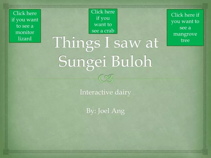 things i saw at sungei buloh
