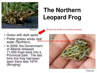 The Northern Leopard Frog