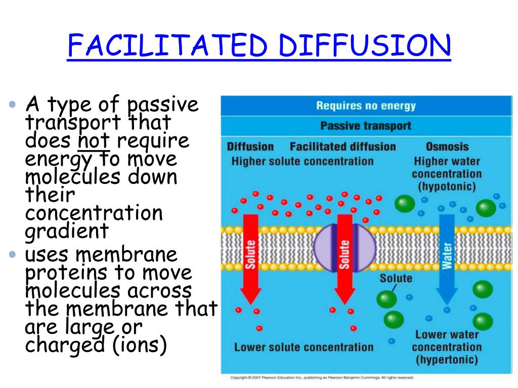 PPT - FACILITATED DIFFUSION PowerPoint Presentation, free download - ID ...