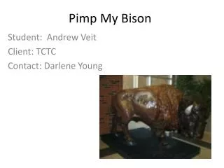 Pimp My Bison