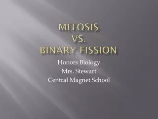 Mitosis vs. binary fission