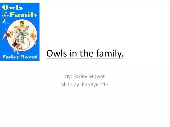 owls in the family