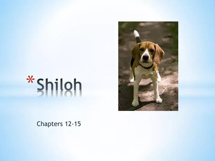 shiloh