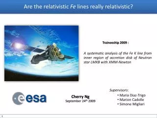 Are the relativistic Fe lines really relativistic?