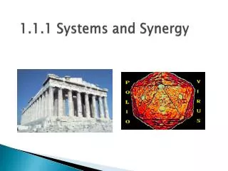 1.1.1 Systems and Synergy