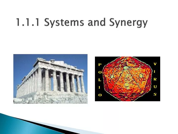 1 1 1 systems and synergy