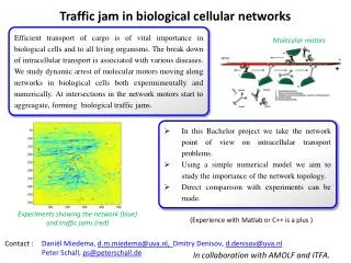 Traffic jam in biological cellular networks