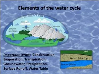 Elements of the water cycle