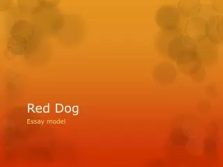 Red Dog