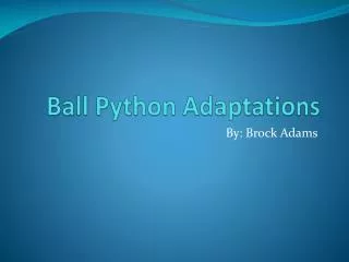 Ball Python Adaptations