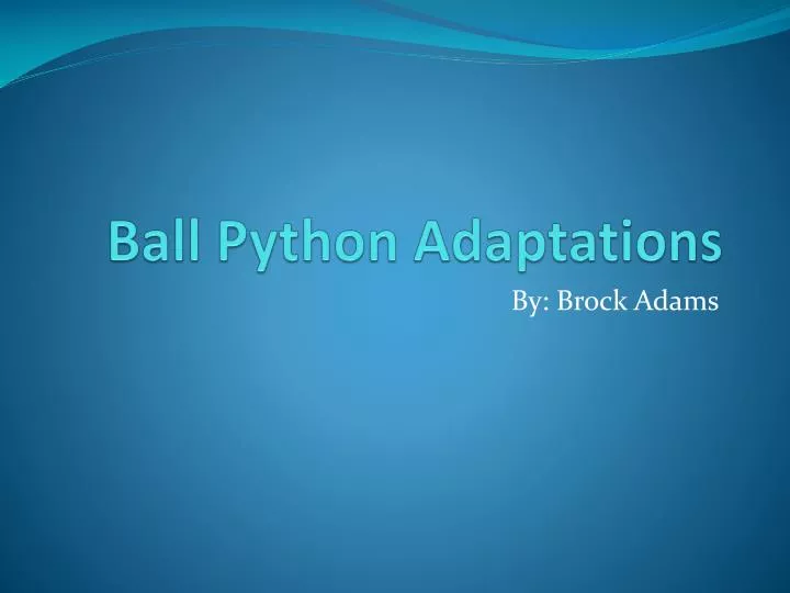 ball python adaptations