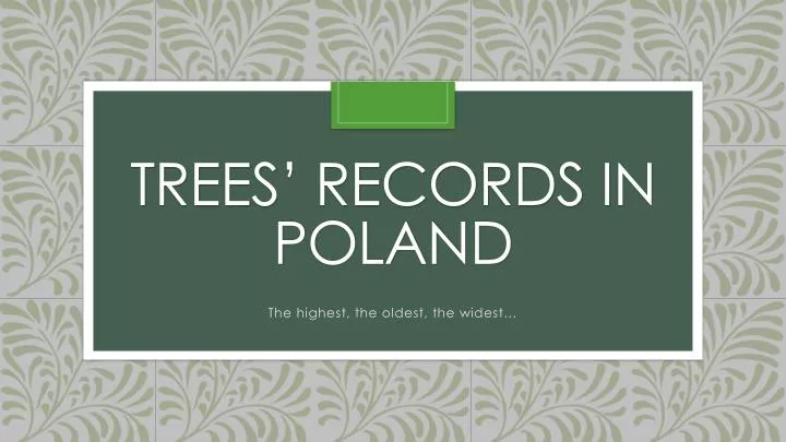 trees records in poland