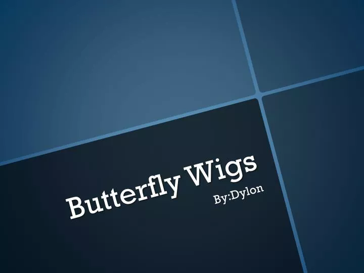 butterfly wigs