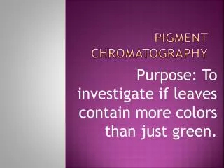 Pigment Chromatography