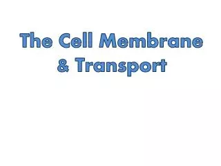 The Cell Membrane &amp; Transport