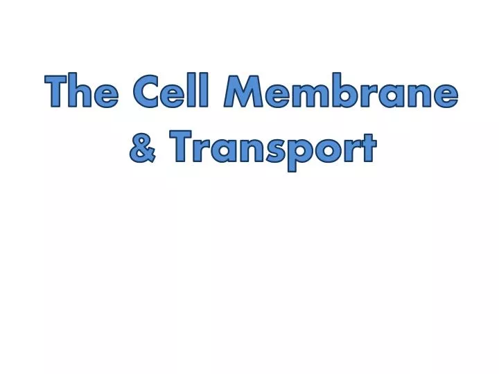 the cell membrane transport