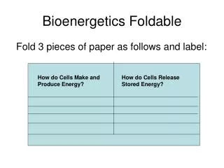 Bioenergetics Foldable