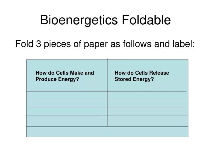 bioenergetics foldable