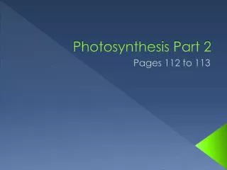 photosynthesis part 2
