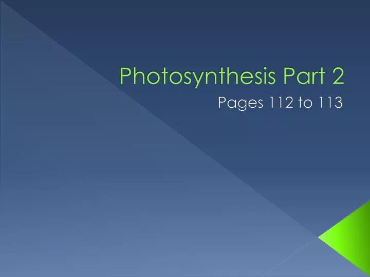 photosynthesis part 2