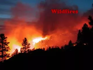 Wildfires