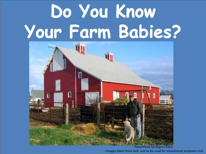 do you know your farm babies