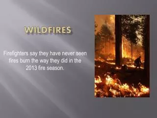 Wildfires