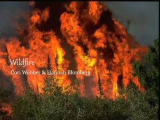 wildfire