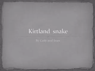 Kirtland snake
