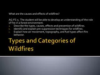 Types and Categories of Wildfires